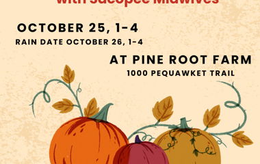 Image for Pumpkin Carving